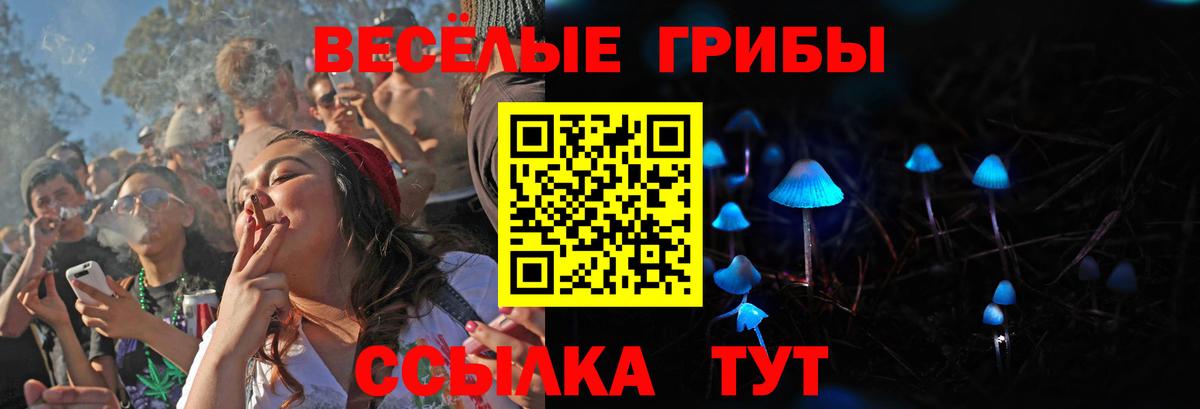 Псилоцибиновые грибы Magic Shrooms Озёры